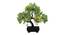 Blaise Artificial Plant by Urban Ladder - Design 1 Details - 324219