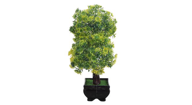 Blaise Artificial Plant by Urban Ladder - Design 1 Top View - 324220