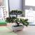 Callum artificial plant lp