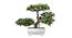 Callum Artificial Plant by Urban Ladder - Design 1 Details - 324229