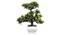 Callum Artificial Plant by Urban Ladder - Front View Design 1 - 324231