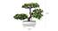Callum Artificial Plant by Urban Ladder - Design 1 Close View - 324232