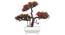 Cameo Artificial Plant by Urban Ladder - Design 1 Details - 324234