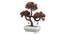 Cailin Artificial Plant by Urban Ladder - Design 1 Top View - 324240