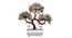 Cade Artificial Plant by Urban Ladder - Design 1 Details - 324244