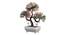 Cade Artificial Plant by Urban Ladder - Design 1 Top View - 324245