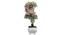 Cade Artificial Plant by Urban Ladder - Front View Design 1 - 324246