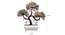 Cade Artificial Plant by Urban Ladder - Design 1 Close View - 324247