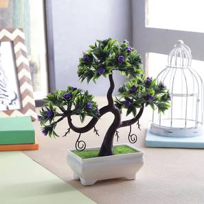 Cal artificial plant lp