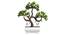 Cairo Artificial Plant by Urban Ladder - Design 1 Details - 324254
