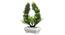 Cora Artificial Plant by Urban Ladder - Design 1 Top View - 324260
