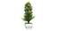 Cora Artificial Plant by Urban Ladder - Front View Design 1 - 324261