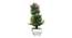 Cleo Artificial Plant by Urban Ladder - Front View Design 1 - 324266