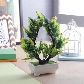 Darius artificial plant lp