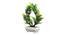 Darius Artificial Plant by Urban Ladder - Design 1 Top View - 324280