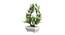 Cassian Artificial Plant by Urban Ladder - Design 1 Top View - 324290