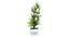 Cassian Artificial Plant by Urban Ladder - Front View Design 1 - 324291
