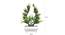 Cassian Artificial Plant by Urban Ladder - Design 1 Close View - 324292
