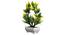 Cassia Artificial Plant by Urban Ladder - Design 1 Top View - 324295