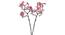 Rosa Artificial Flower (Pink) by Urban Ladder - Front View Design 1 - 325457