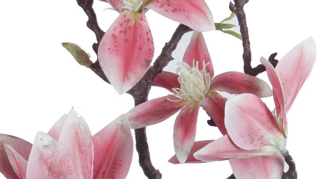 Rosa Artificial Flower (Pink) by Urban Ladder - Cross View Design 1 - 325458