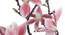Rosa Artificial Flower (Pink) by Urban Ladder - Cross View Design 1 - 325458