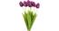 Ruby Artificial Flower (Purple) by Urban Ladder - Front View Design 1 - 325463