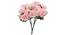 Carla Artificial Flower (Pink) by Urban Ladder - Front View Design 1 - 325514