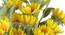 Terrie Artificial Flower (Yellow) by Urban Ladder - Cross View Design 1 - 325562