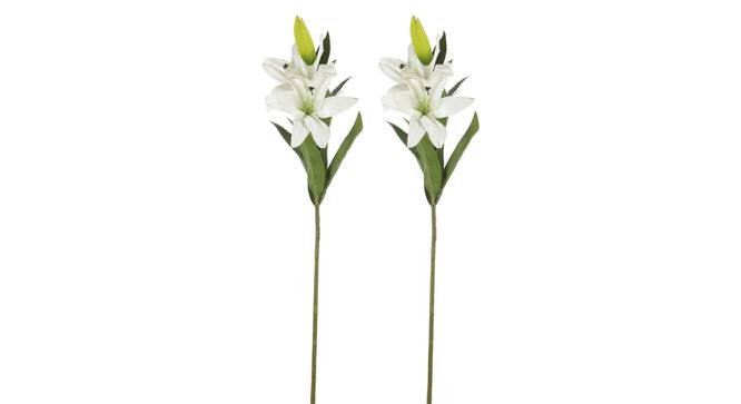 Juan Artificial Flower (White) by Urban Ladder - Front View Design 1 - 325629