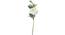 Cheryl Artificial Flower (White) by Urban Ladder - Front View Design 1 - 325635