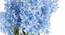 Moore Artificial Flower (Blue) by Urban Ladder - Cross View Design 1 - 325639