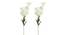 Moore Artificial Flower (White) by Urban Ladder - Front View Design 1 - 325644