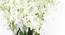 Moore Artificial Flower (White) by Urban Ladder - Cross View Design 1 - 325645