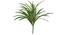 Bob Artificial Plant With Pot (Green) by Urban Ladder - Front View Design 1 - 325671