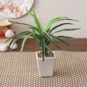 Ruth1 artificial plant with pot lp