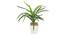 Ruth Artificial Plant With Pot (Green) by Urban Ladder - Front View Design 1 - 325709