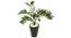 Wanda Artificial Plant With Pot (Green) by Urban Ladder - Front View Design 1 - 325715