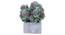 Jesse Artificial Plant With Pot by Urban Ladder - Front View Design 1 - 325748