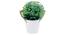 Lilian Artificial Plant With Pot (Green) by Urban Ladder - Cross View Design 1 - 325752