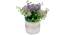 Benett Artificial Plant With Pot by Urban Ladder - Front View Design 1 - 325760