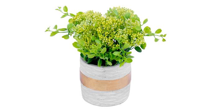Benett Artificial Plant With Pot by Urban Ladder - Front View Design 1 - 325766