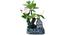 Joan Artificial Plant With Pot by Urban Ladder - Front View Design 1 - 325781