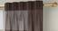 Vegas Sheer Door Curtains - Set Of 2 (Beige, 112 x 213 cm  (44" x 84") Curtain Size) by Urban Ladder - Front View Design 1 - 327163