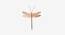 Dragonfly wall décor (Copper) by Urban Ladder - Front View Design 1 - 327455
