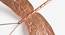 Dragonfly wall décor (Copper) by Urban Ladder - Design 1 Close View - 327456
