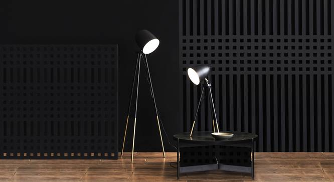 Rhea Floor Lamp Black (Black Finish) by Urban Ladder - Design 1 Details - 327928