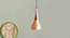 Avery  Hanging Lamp Copper (Black Finish) by Urban Ladder - Design 1 Details - 327943