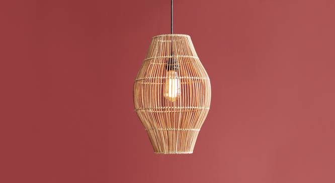 Kaya Oval Hanging Lamp Small (Black Finish) by Urban Ladder - Design 1 Details - 327976