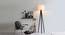 Zetta  Floor Lamp Walnut KD (Black Finish) by Urban Ladder - Design 1 Details - 328018